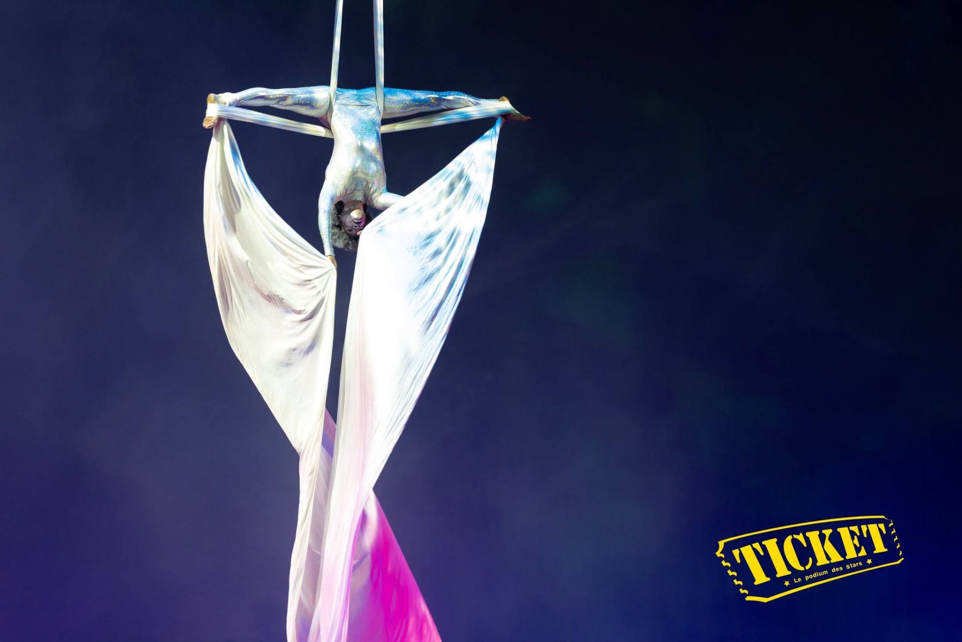 Aerial silk artist suspended in a shimmering costume